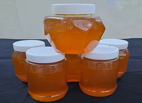 https://shp.aradbranding.com/قیمت خرید عسل کنار در بندرعباس عمده به صرفه و ارزان